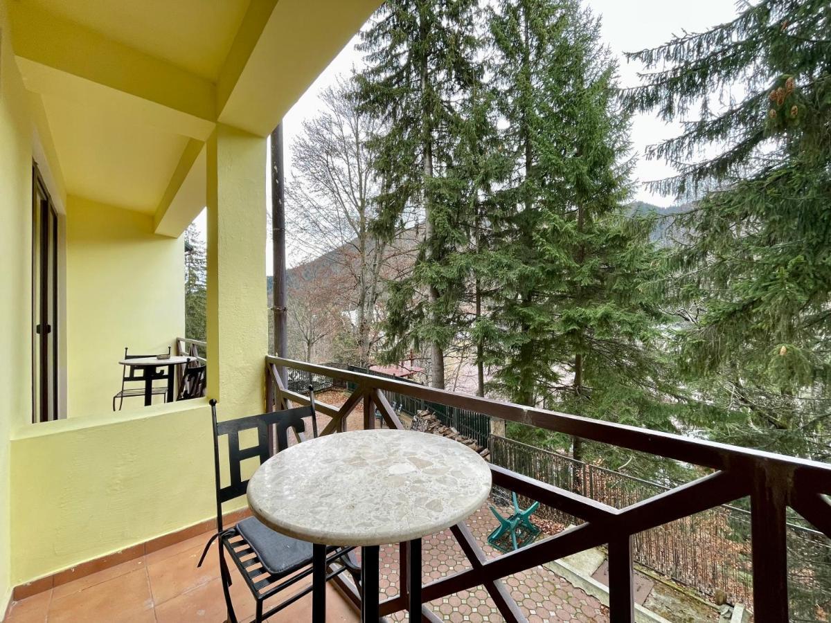 Vila Condor Poiana Brasov Εξωτερικό φωτογραφία