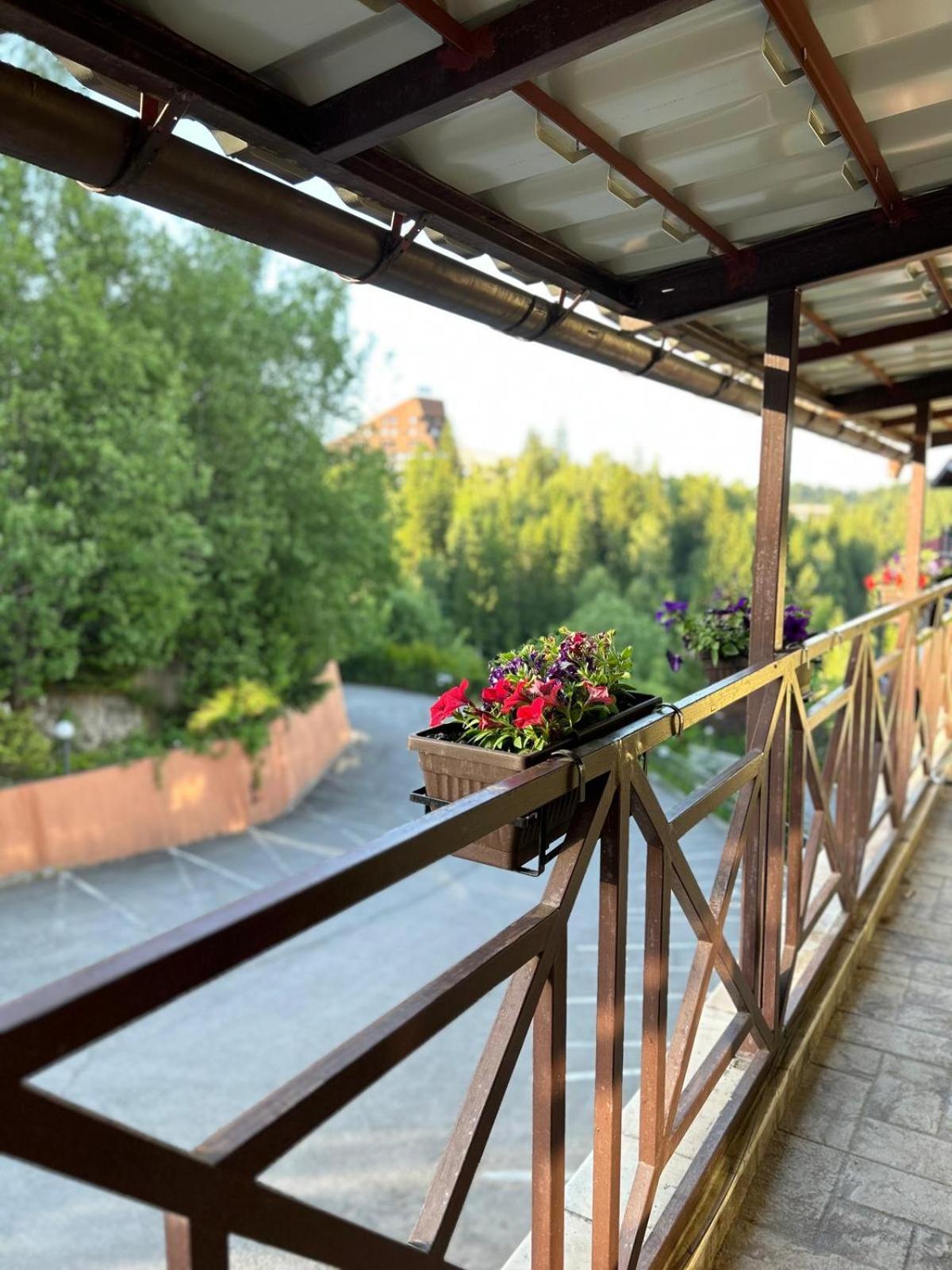 Vila Condor Poiana Brasov Εξωτερικό φωτογραφία